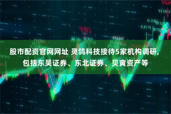 股市配资官网网址 灵鸽科技接待5家机构调研, 包括东吴证券、东北证券、贝寅资产等
