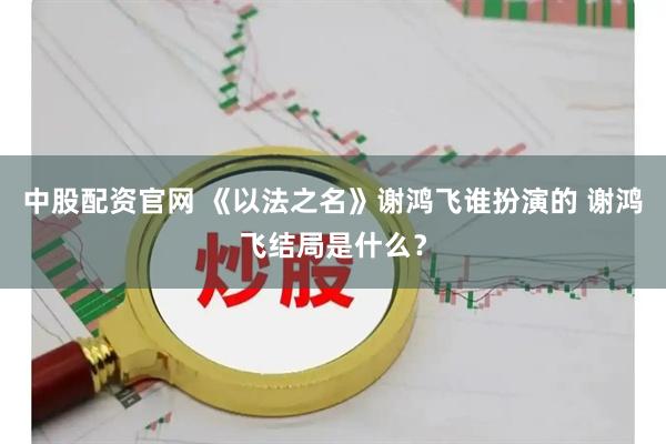 中股配资官网 《以法之名》谢鸿飞谁扮演的 谢鸿飞结局是什么？
